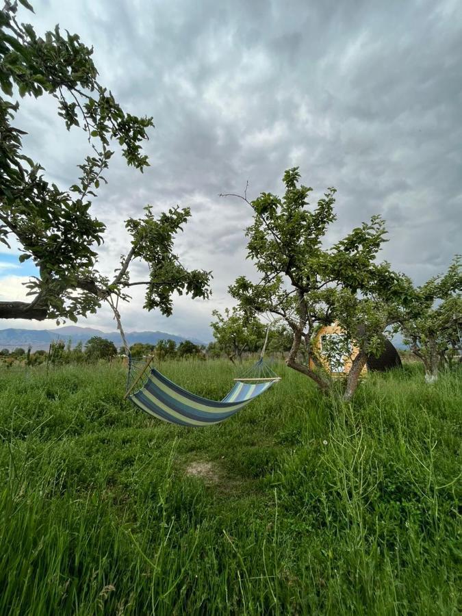 Bosogo Yurt Camp Hotel Bokonbayevo Luaran gambar
